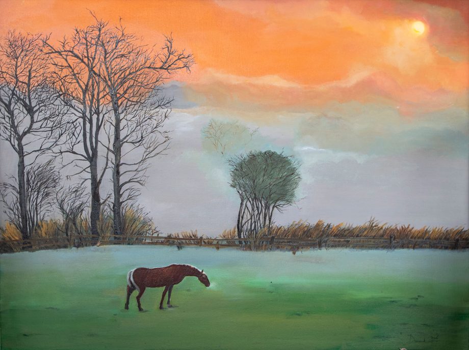 Peaceful Pasture